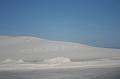 20081031 white sands 018